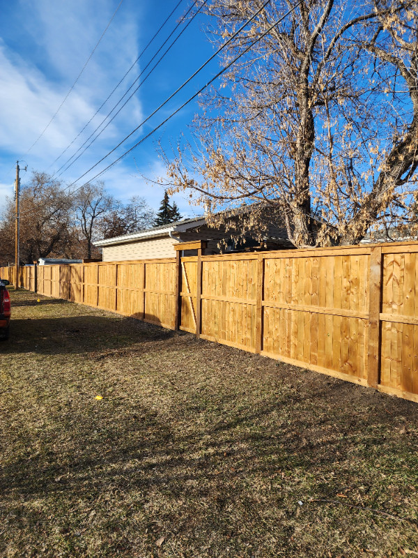 Fences and decks in Fence, Deck, Railing & Siding in Calgary - Image 4
