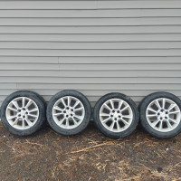 Summer Tires and rims