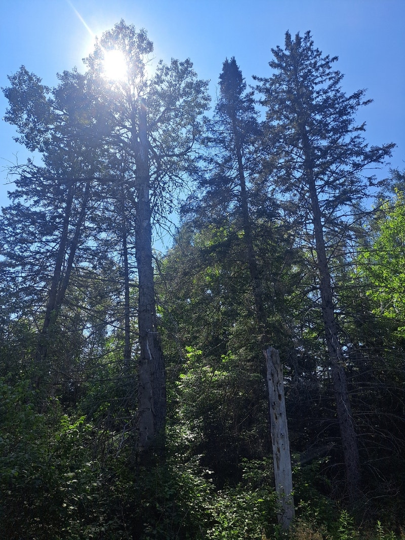 2 acre flat lot *buildable or *park trailer or *tiny home Land for Sale Gatineau Kijiji