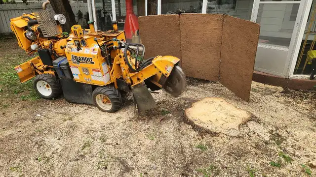 Quality Low Cost Stump Grinding in Lawn, Tree Maintenance & Eavestrough in Saskatoon - Image 7