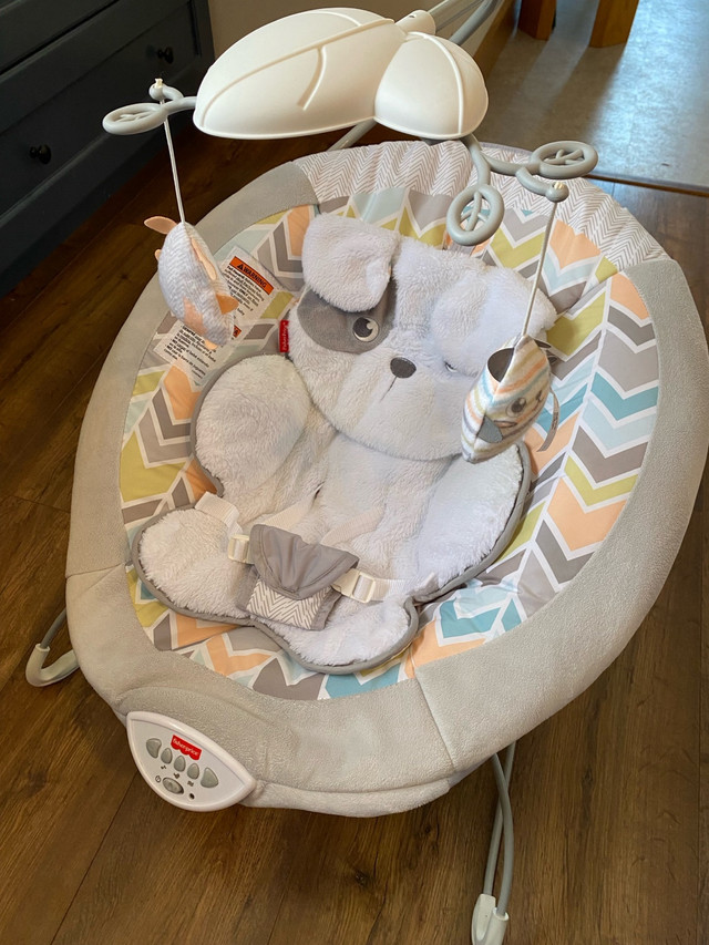 Fisher-Price Sweet Snugapuppy Dreams Deluxe Bouncer in Other in Kingston
