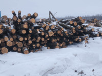 8ft Oak Firewood 