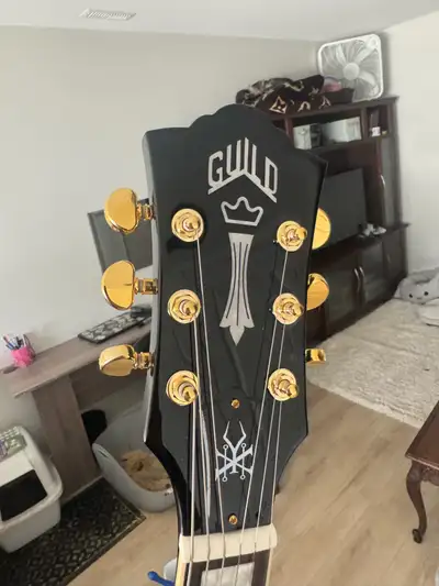 Guild Kim Thayil Polara , View more