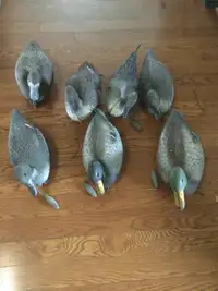 Duck decoys