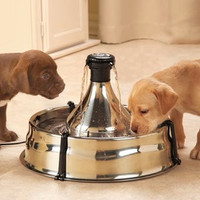 PetSafe Drinkwell 360 Stainless Steel Pet Fountain