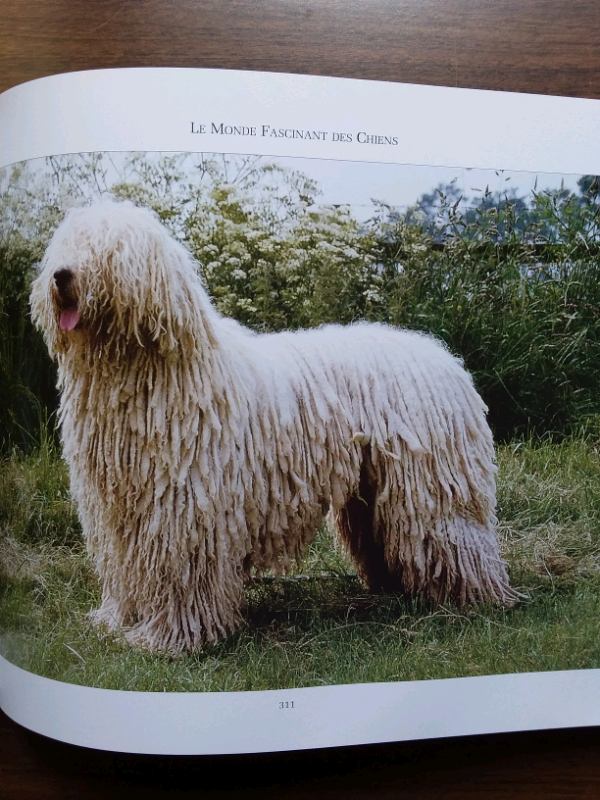 LIVRE L'ESSENTIEL DES CHIENS in Accessories in Lanaudière - Image 10