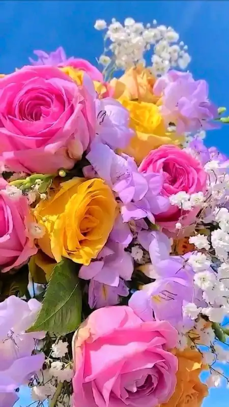 Massage therapy62863240182913121