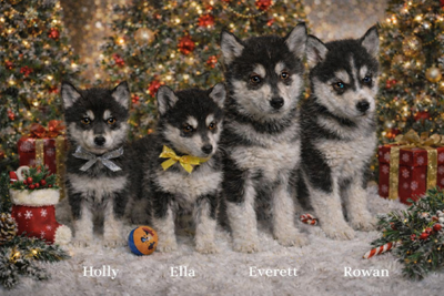 **Please note** I am hearing impaired so I sometime do not here message arriving. Please feel free t...