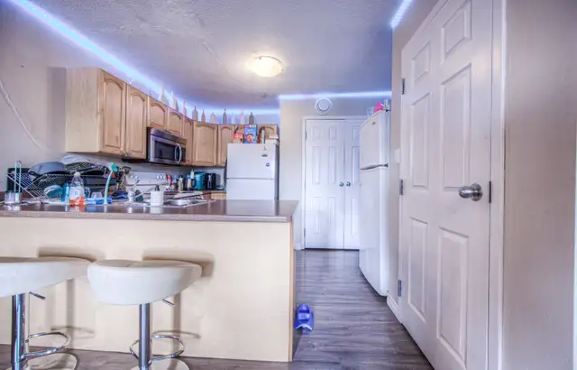 172 Regina St. N. Apt. #5 Room#2 - SUBLET $875 includes parking in Room Rentals & Roommates in Kitchener / Waterloo - Image 9