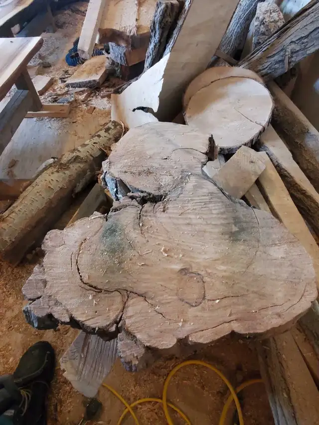 Raw Wood Slabs, Cookies, & Craft Pieces! in Other in Regina - Image 9