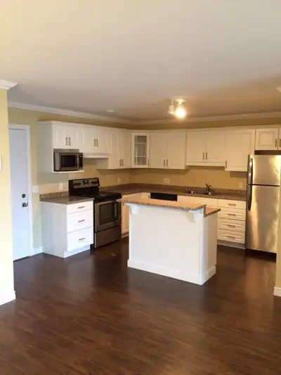 Open concept spacious living room/kitchen,kitchen with lots of cupboards and island . Bathroom with...