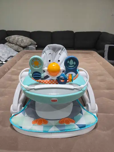 Brand new never used. Before we could our little one was too big.