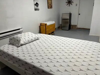 Chambre à louer tout inclus avec laveuse sécheuse endroit très tranquile près de tout regarder Googl...