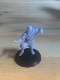 Dwarven Monk Male Character Model for DnD