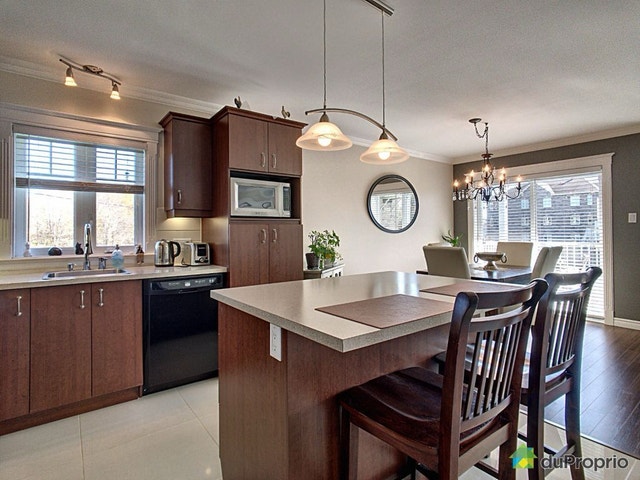 6716 Bd Sainte-Anne — photo 3