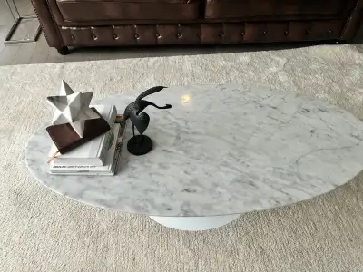 Tulip Style Marble Coffee Table with rug , View more