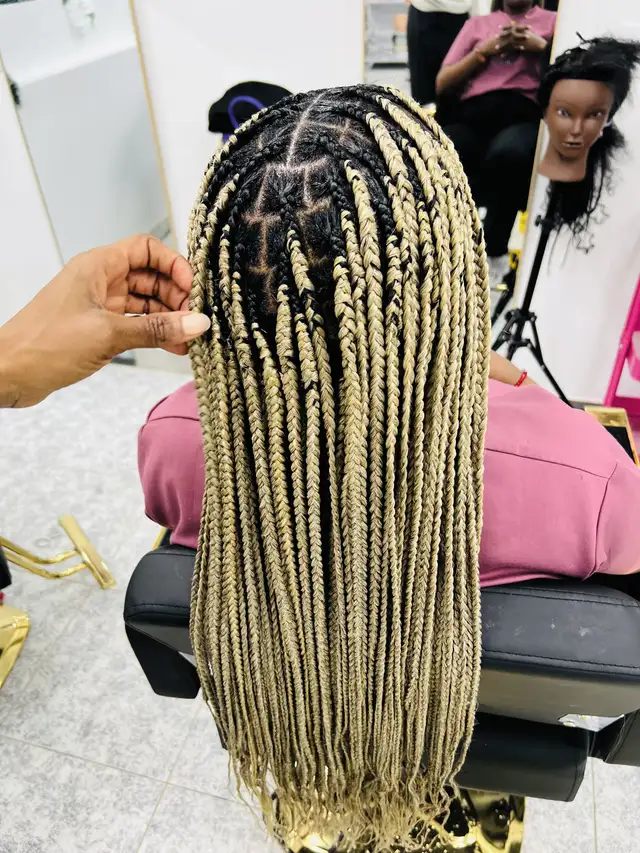 braidsbox64840301289217120