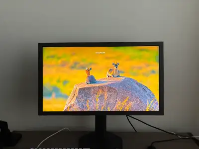 Zowie xl2586x+ 600hz gaming monitor, View more