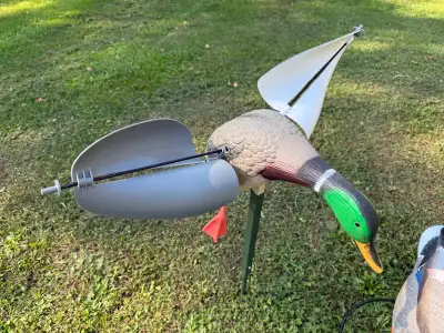 Mallard Duck Decoys, View more