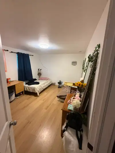 Looking for a girl to share a room in a fully furnished 3-bedroom house near bus stop and grocery st...
