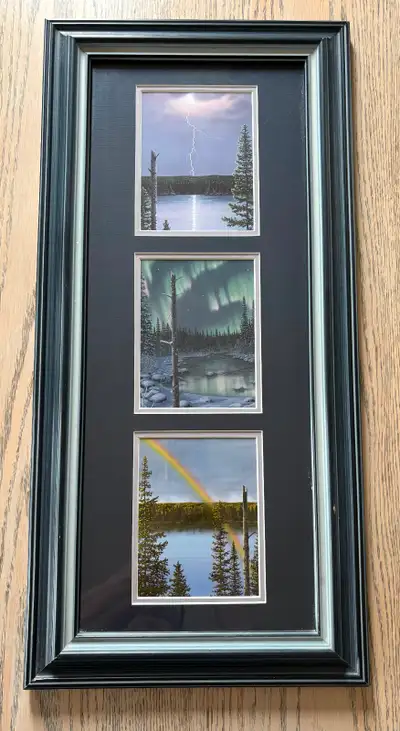 Glen Scrimshaw Framed Art Edition Blue Matte Frame 8x20 “Promise” $100 Pick up only