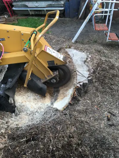 Affordable stump removal - Great availibility, View more