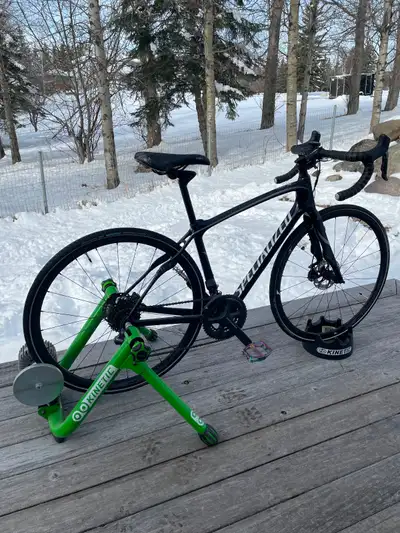 2016 Specialized Ruby Carbon Road Bike, View more