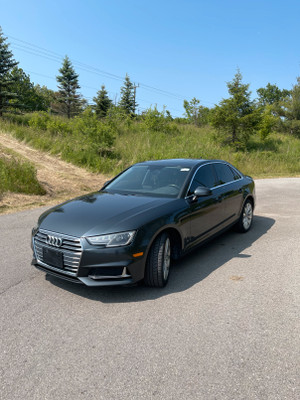 2019 Audi A4 Komfort