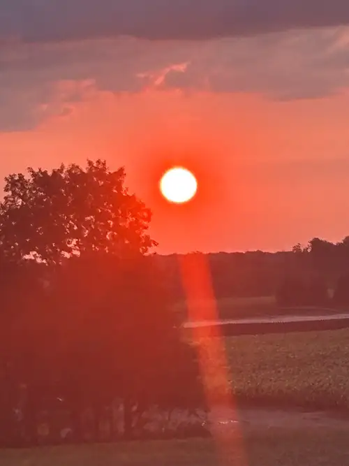 Building In Sombra Ontario Restaurant Pizza Bar and grill Seating 78 people Needs to be reopened Cal...