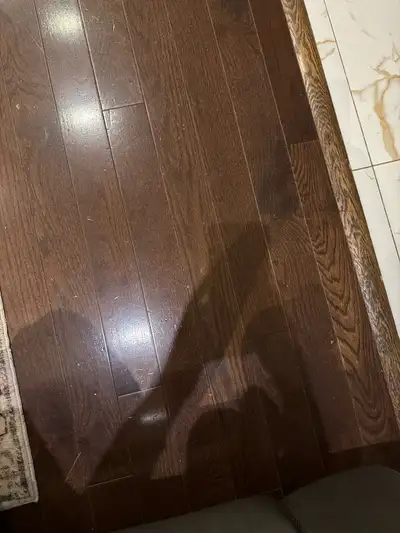 Papa Johns Markham needs full time and part time pizza maker please contact @647673231or 6476565786