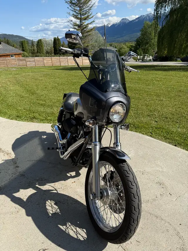 2007 Harley Davidson Street Bob in Street, Cruisers & Choppers in Revelstoke - Image 5