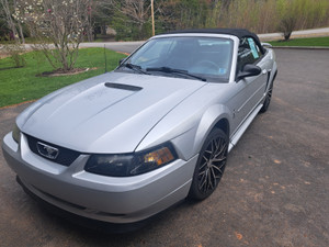 2001 Ford Mustang Convertible