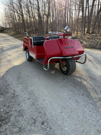 Harley Golf cart 