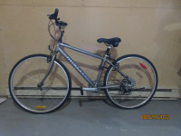 Bicycle Minelli 10 vitesses Édition Spéciale