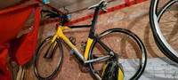 Giant Trinity - Triathlon Bike, large frame