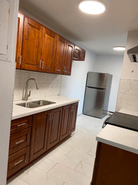 New Renovated 2 Bedroom Apartment in South End