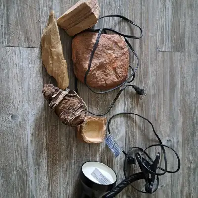 Accessoires pour lezard , View more