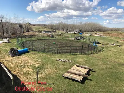 Horse Boarding - reasonable rates, View more