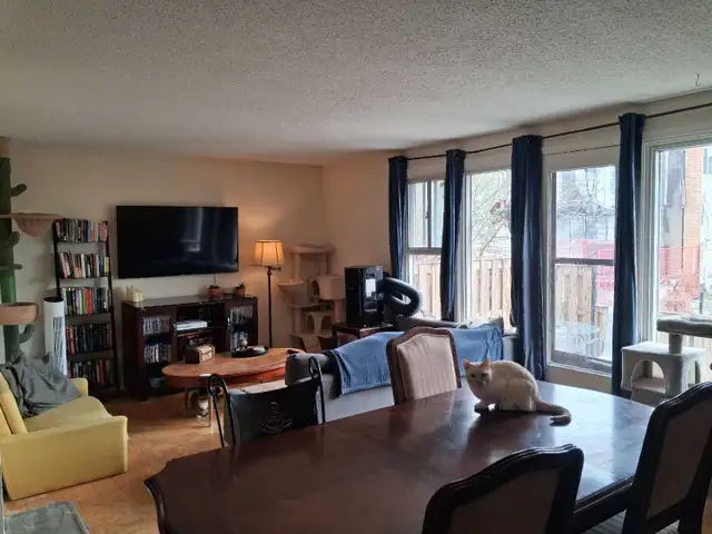 Room 4 Rent