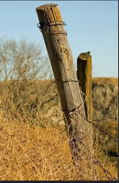 Fence Posts, Barb Wire, View more