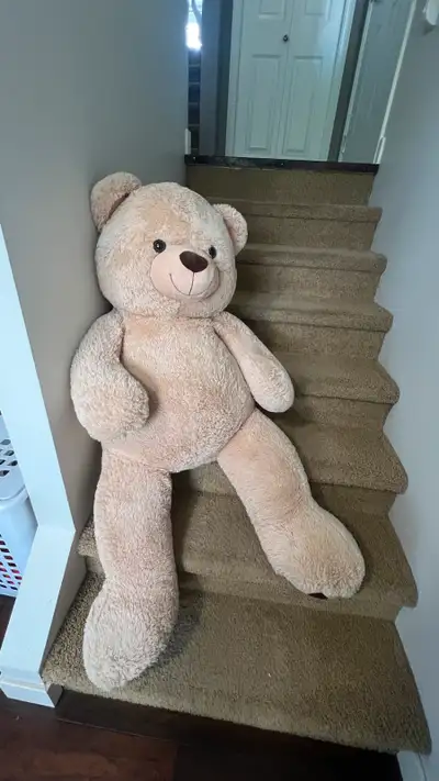Giant Teddy Bear, View more