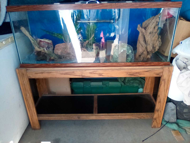 Aquarium with oak stand and accessories in Accessories in Vernon
