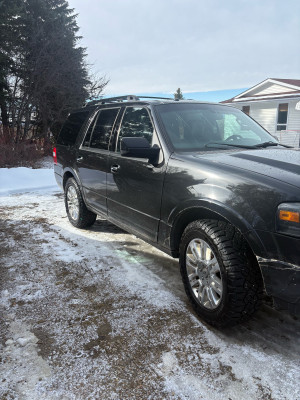 2014 Ford Expedition