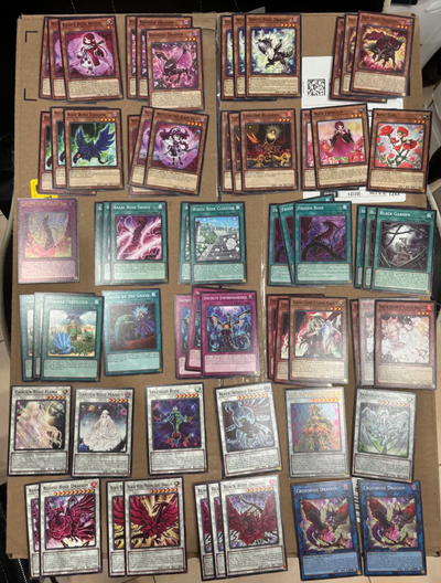 Yugioh-Complete Black Rose Dragon Deck w/Full Extra Deck+Staples, View more