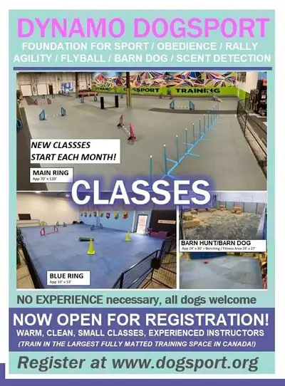 Dogsport Classes, View more