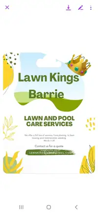  Lawn and pool care service 