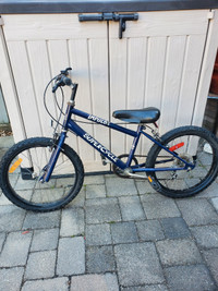 Further Reduced Youth 20" mountain bike