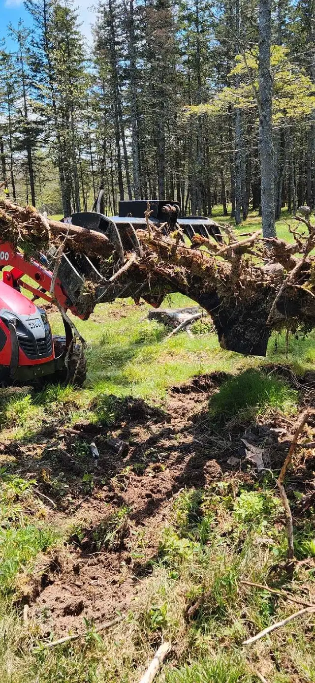 hla grapple root rake in Other in Saint John - Image 6