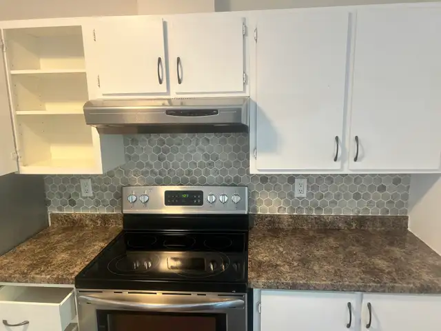 Professional Cleaning services