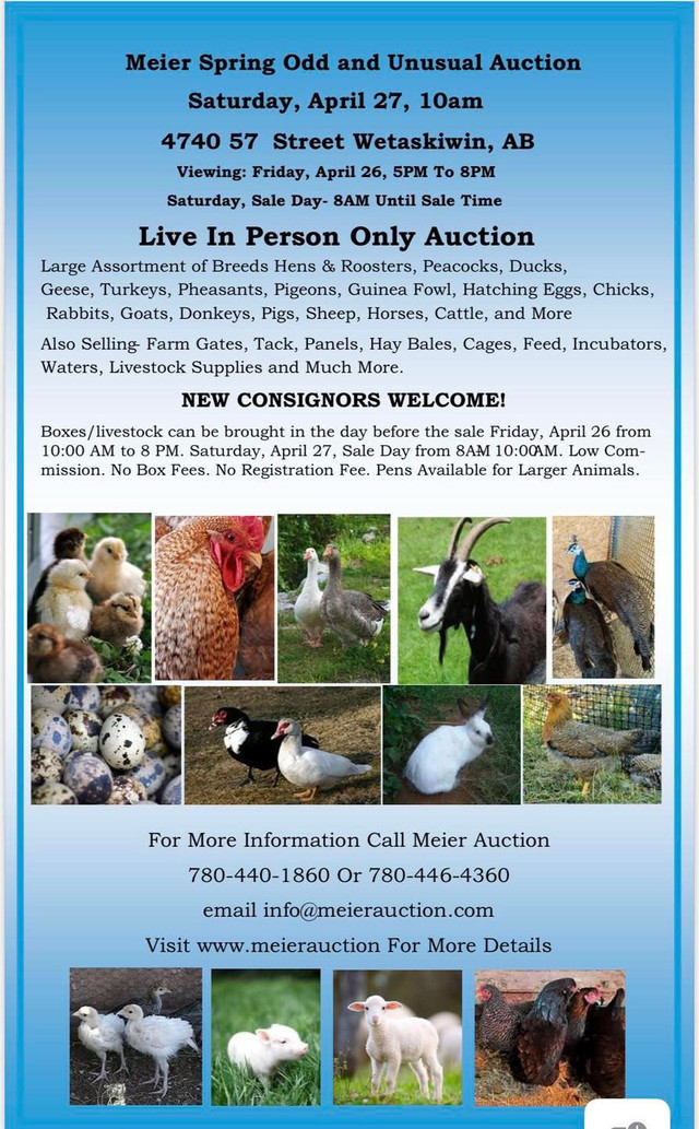 Meier Odd & Unusual Livestock Auction Sat. April 27, 10am in Birds for Rehoming in Edmonton
